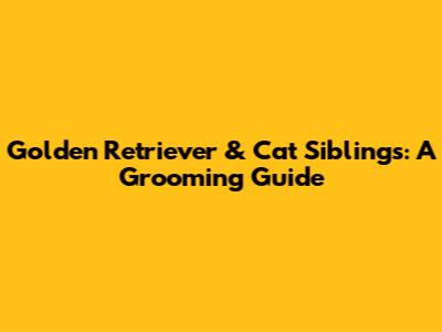 Golden Retriever & Cat Siblings: A Grooming Guide