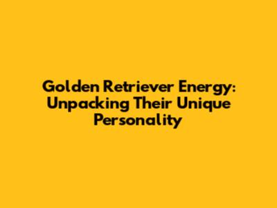 Golden Retriever Energy: Unpacking Their Unique Personality