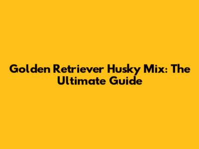 Golden Retriever Husky Mix: The Ultimate Guide