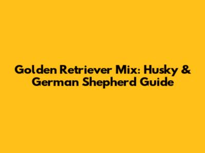 Golden Retriever Mix: Husky & German Shepherd Guide