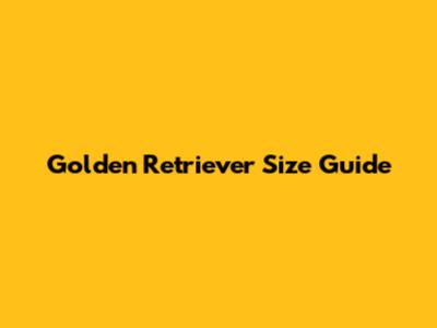 Golden Retriever Size Guide