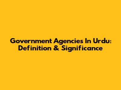 Government Agencies In Urdu: Definition & Significance
