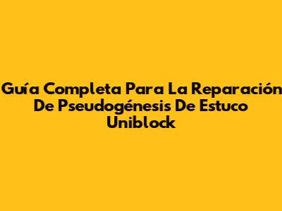 Guía Completa Para La Reparación De Pseudogénesis De Estuco Uniblock