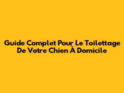 Guide Complet Pour Le Toilettage De Votre Chien À Domicile