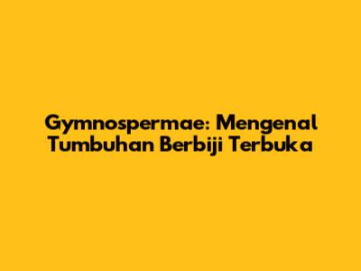 Gymnospermae: Mengenal Tumbuhan Berbiji Terbuka