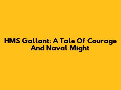 HMS Gallant: A Tale Of Courage And Naval Might