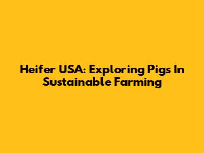 Heifer USA: Exploring Pigs In Sustainable Farming