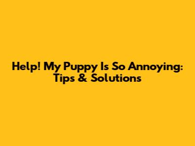 Help! My Puppy Is So Annoying: Tips & Solutions