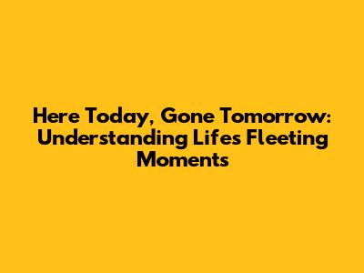 Here Today, Gone Tomorrow: Understanding Life's Fleeting Moments