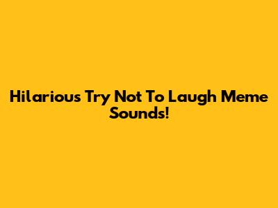 Hilarious "Try Not To Laugh" Meme Sounds!