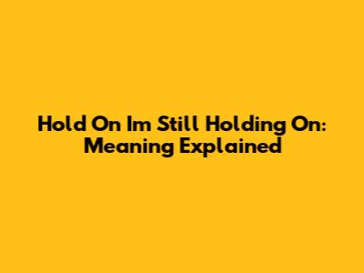 Hold On I'm Still Holding On: Meaning Explained