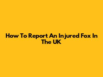 How To Report An Injured Fox In The UK