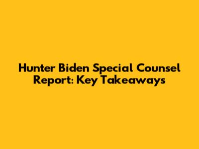 Hunter Biden Special Counsel Report: Key Takeaways