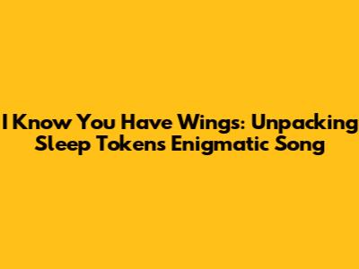 I Know You Have Wings: Unpacking Sleep Token's Enigmatic Song