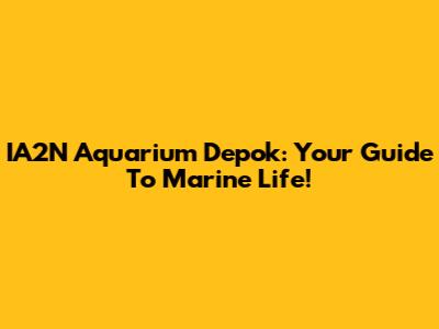 IA2N Aquarium Depok: Your Guide To Marine Life!