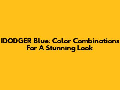 IDODGER Blue: Color Combinations For A Stunning Look