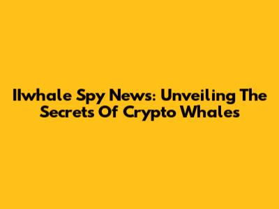 IIwhale Spy News: Unveiling The Secrets Of Crypto Whales