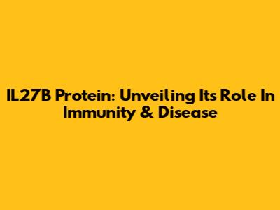IL27B Protein: Unveiling Its Role In Immunity & Disease