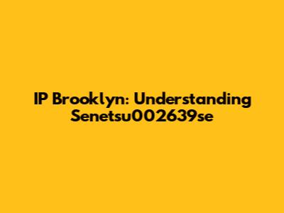 IP Brooklyn: Understanding Senetsu002639se