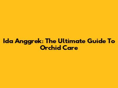 Ida Anggrek: The Ultimate Guide To Orchid Care