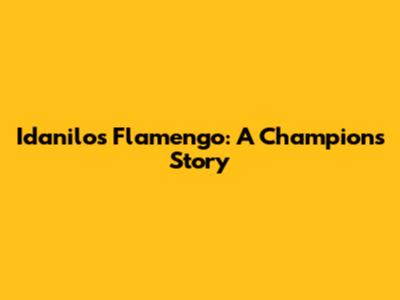 Idanilo's Flamengo: A Champion's Story