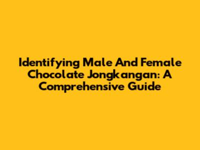Identifying Male And Female Chocolate Jongkangan: A Comprehensive Guide