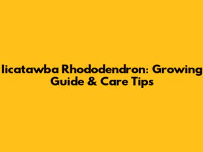 Iicatawba Rhododendron: Growing Guide & Care Tips