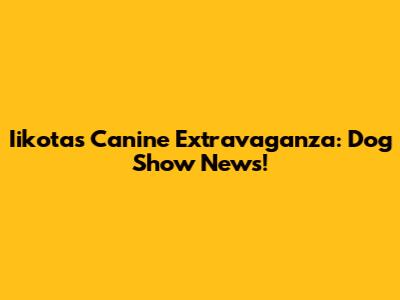 Iikota's Canine Extravaganza: Dog Show News!