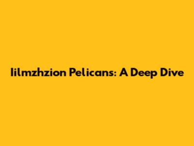 Iilmzhzion Pelicans: A Deep Dive