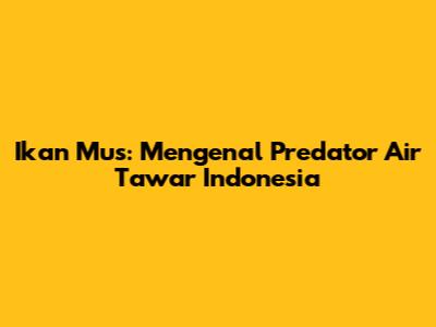 Ikan Mus: Mengenal Predator Air Tawar Indonesia