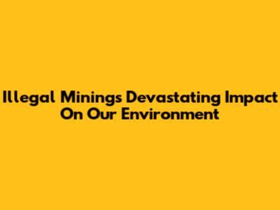 Illegal Mining's Devastating Impact On Our Environment