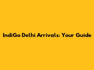 IndiGo Delhi Arrivals: Your Guide