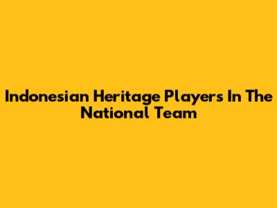 Indonesian Heritage Players In The National Team