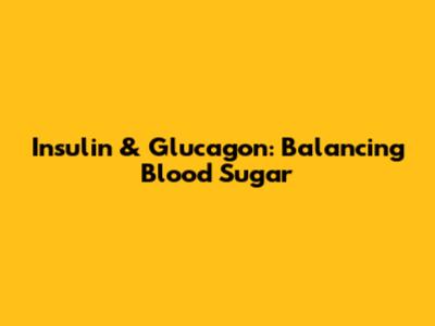 Insulin & Glucagon: Balancing Blood Sugar