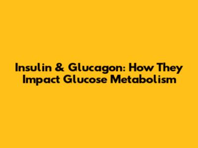 Insulin & Glucagon: How They Impact Glucose Metabolism