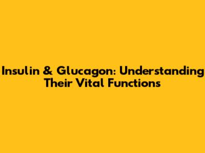 Insulin & Glucagon: Understanding Their Vital Functions