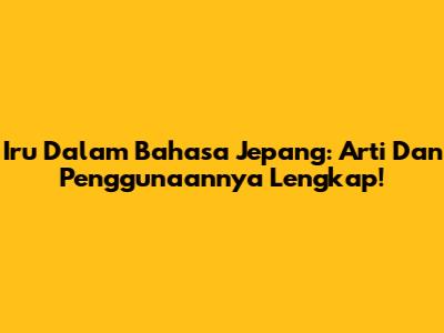 Iru Dalam Bahasa Jepang: Arti Dan Penggunaannya Lengkap!