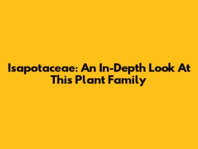 Isapotaceae: An In-Depth Look At This Plant Family
