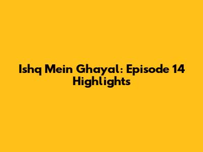 Ishq Mein Ghayal: Episode 14 Highlights