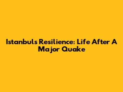 Istanbul's Resilience: Life After A Major Quake