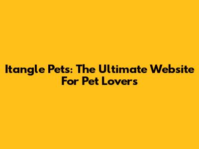 Itangle Pets: The Ultimate Website For Pet Lovers