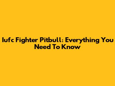 Iufc Fighter Pitbull: Everything You Need To Know