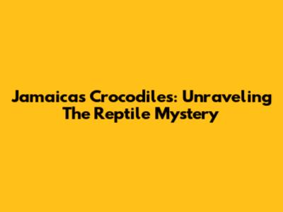 Jamaica's Crocodiles: Unraveling The Reptile Mystery