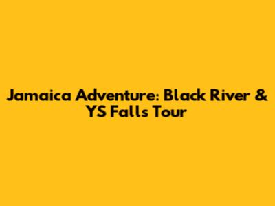 Jamaica Adventure: Black River & YS Falls Tour