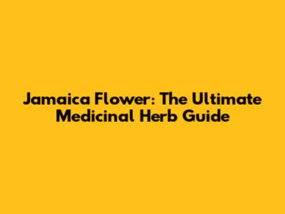 Jamaica Flower: The Ultimate Medicinal Herb Guide