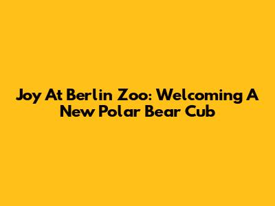 Joy At Berlin Zoo: Welcoming A New Polar Bear Cub