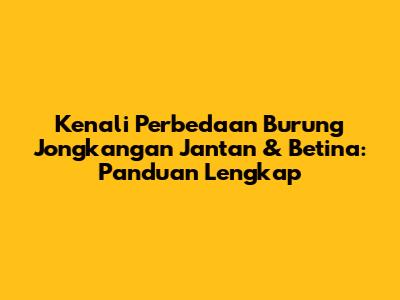 Kenali Perbedaan Burung Jongkangan Jantan & Betina: Panduan Lengkap