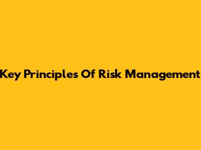 Key Principles Of Risk Management