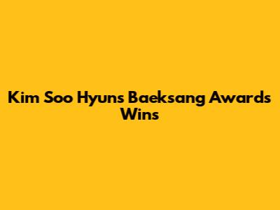 Kim Soo Hyun's Baeksang Awards Wins