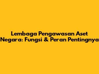 Lembaga Pengawasan Aset Negara: Fungsi & Peran Pentingnya